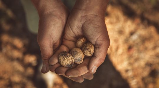 Our Sustainability Initiatives image