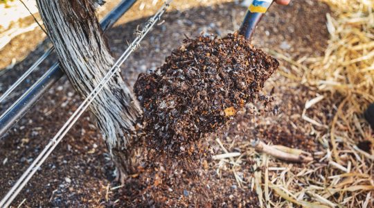 Our Sustainability Initiatives image