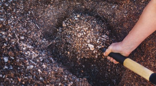 Our Sustainability Initiatives image