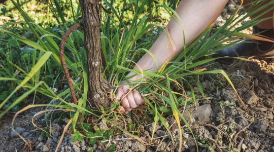 Our Sustainability Initiatives image