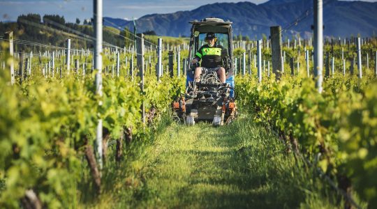 Our Sustainability Initiatives image