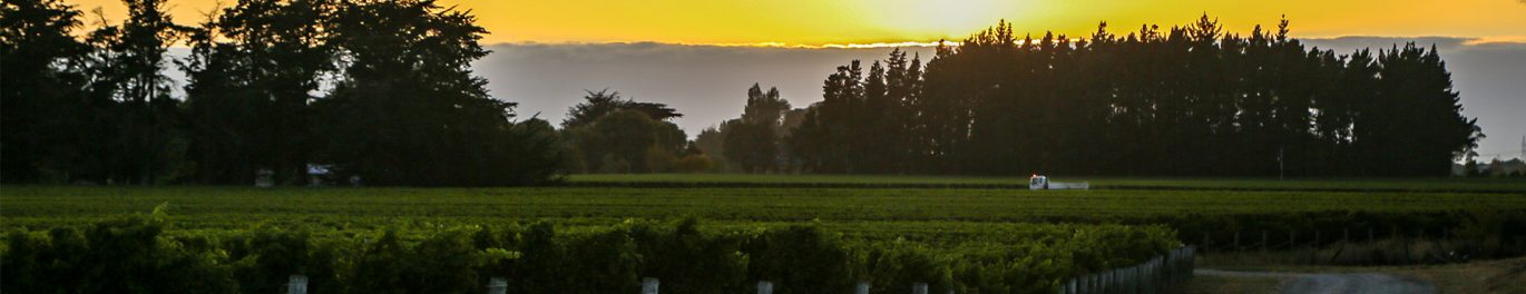 Giesen-Sanddunes-MarchV20-bpost