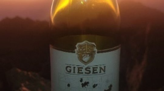 Giesen Sav in Kenya image