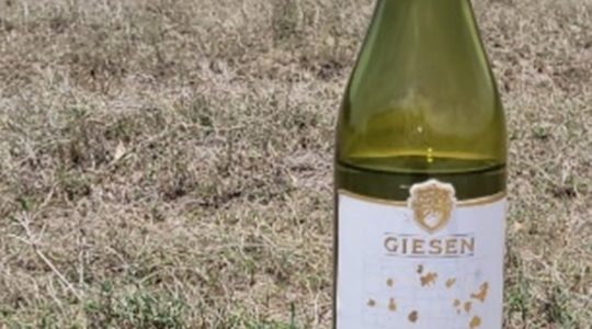 Giesen Sav in Kenya image