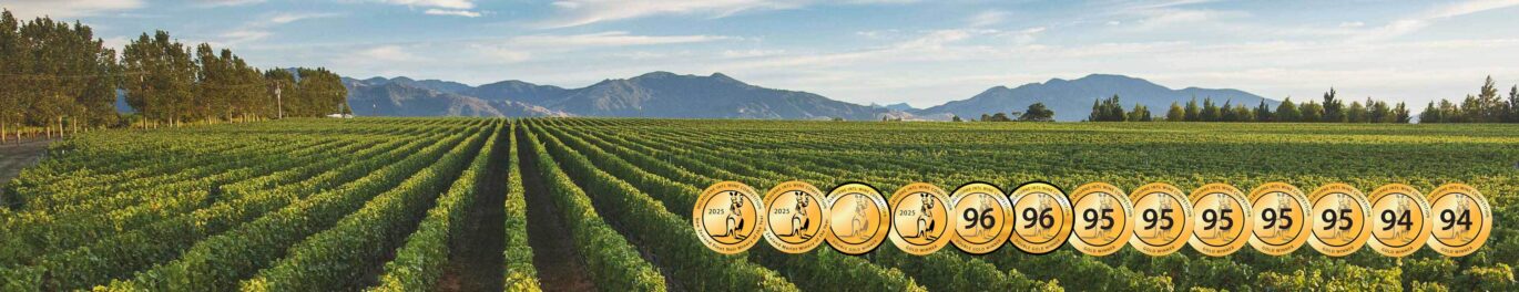 Giesen-award-winning-wines_MIWC2025_banner